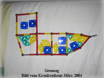 05Geomag2